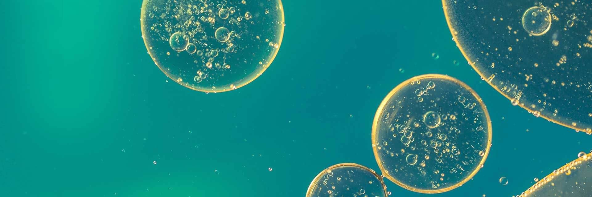 Öl in Wasser unter dem Mikroskop