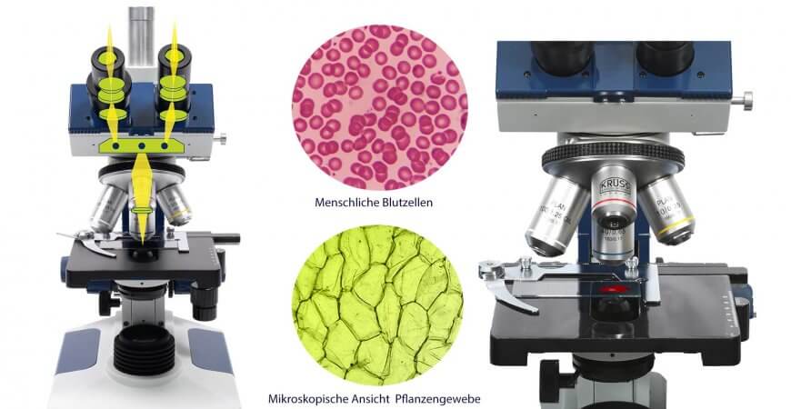Binokular-Mikroskop Funktionsbeschreibung
