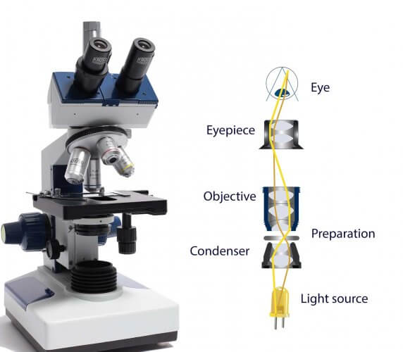 microscope objective function