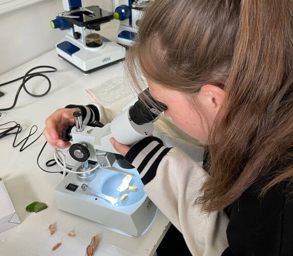 Girls day-2022-discover microscopes